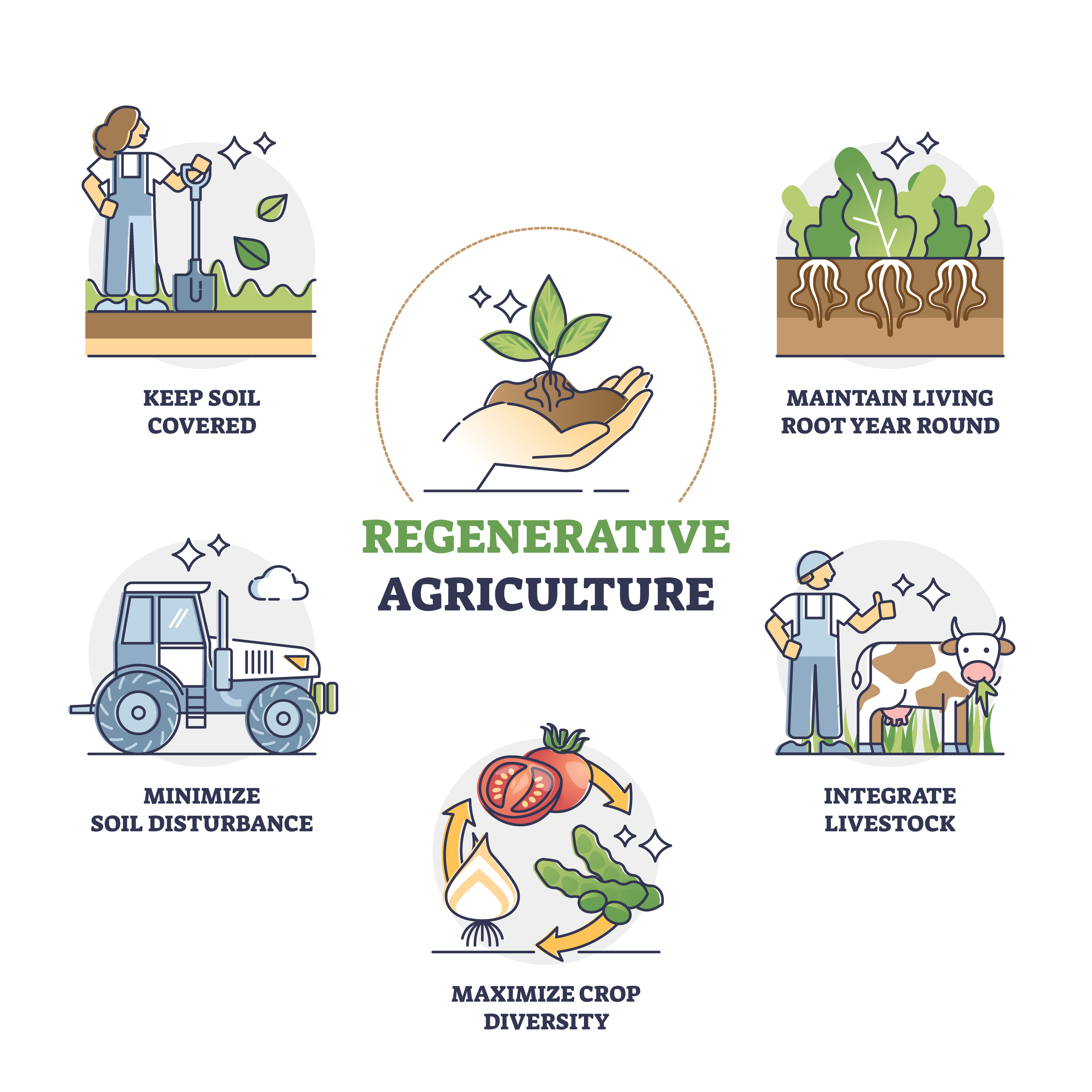 Regenerative Organic Agriculture Program - ROAP 